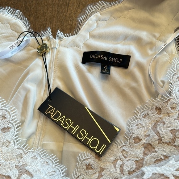 Tadashi Shoji Ivory and Nude Lace Cocktail Dress Women's Size 4 - Picture 11 of 16